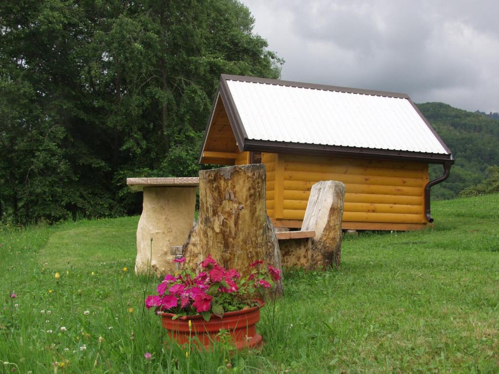 Tara Place - Camp Rabrenovic - 12