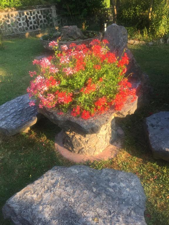 un planteur de pierre avec des fleurs rouges dans une cour dans l'établissement Il Ghiro B&B, à Riccò del Golfo di Spezia