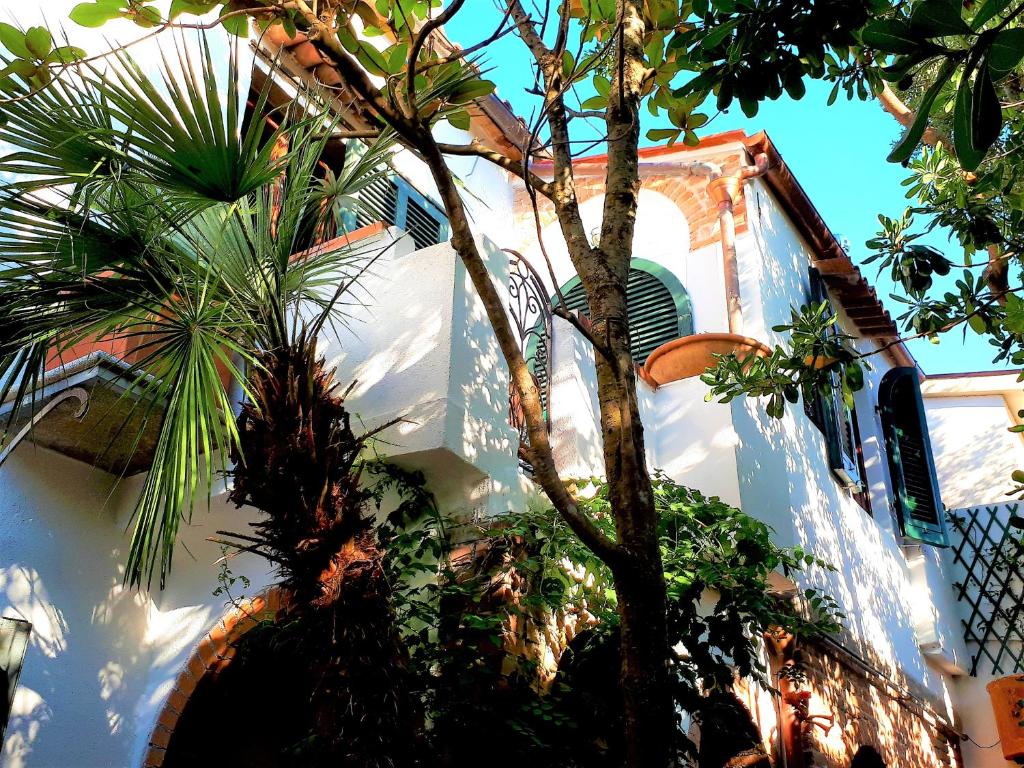 a white building with a palm tree in front of it at Casa Franco in Marina di Campo