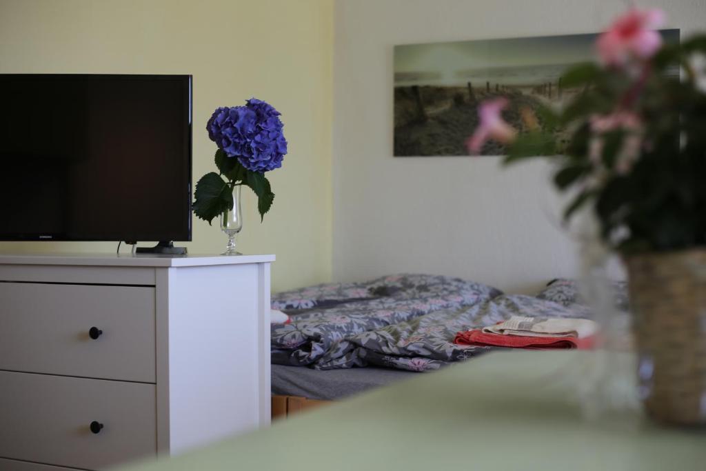 TV a/nebo společenská místnost v ubytování Casa Scerina