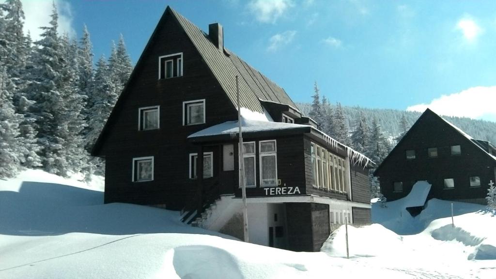 een groot huis in de sneeuw met bomen op de achtergrond bij Vila Tereza in Špindlerův Mlýn