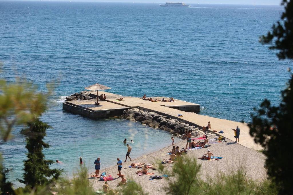 Príroda v okolí apartmánu