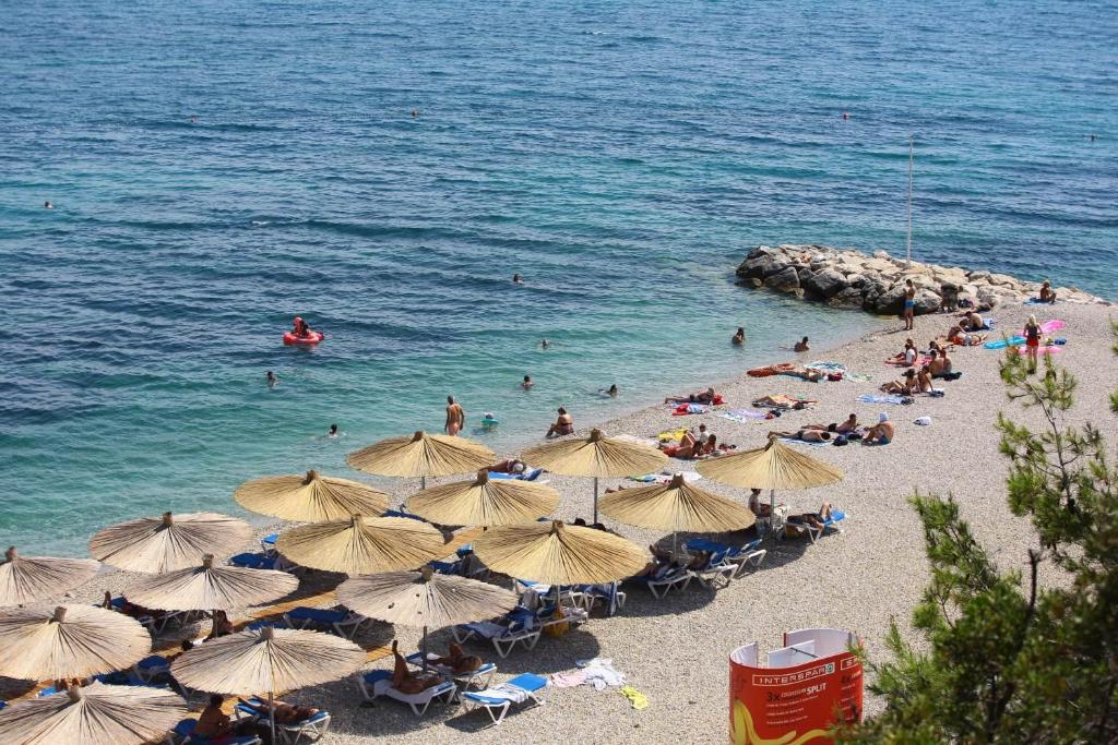 Príroda v okolí apartmánu