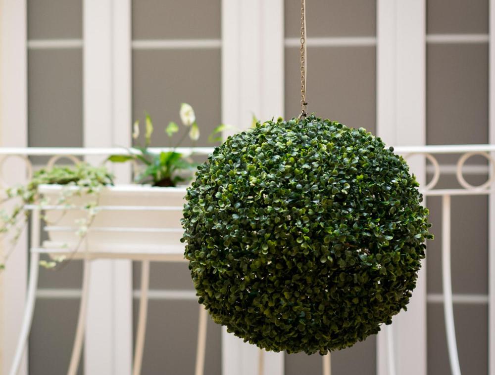 Valletta Lucente Guest House - 15