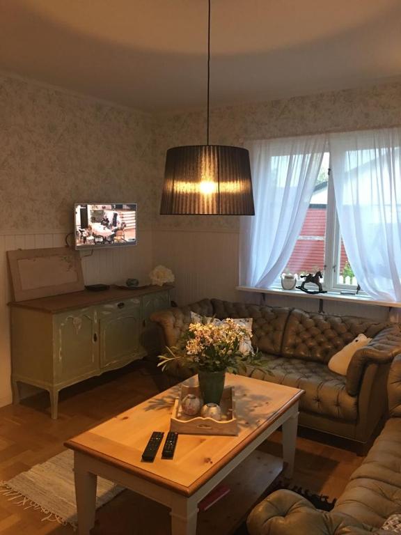 TV a/nebo společenská místnost v ubytování Kolstigenhus