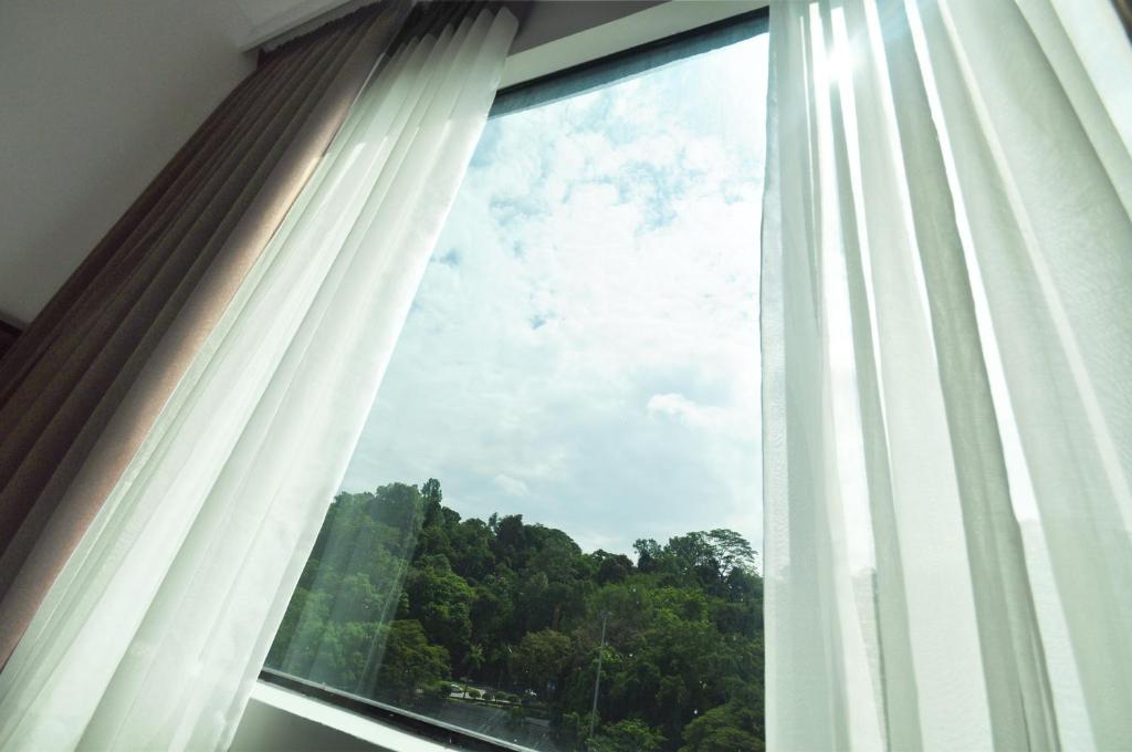 Příroda nedaleko hotelu