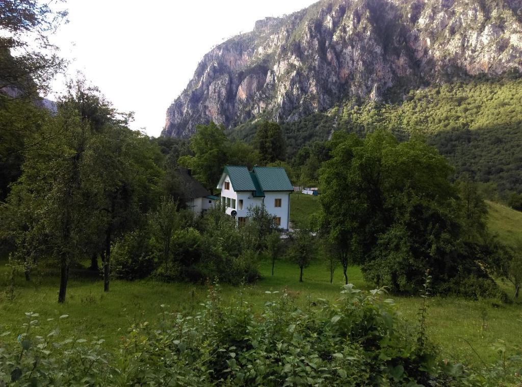 a house in a field with a mountain in the background at Vila Montana in Dobrilovina
