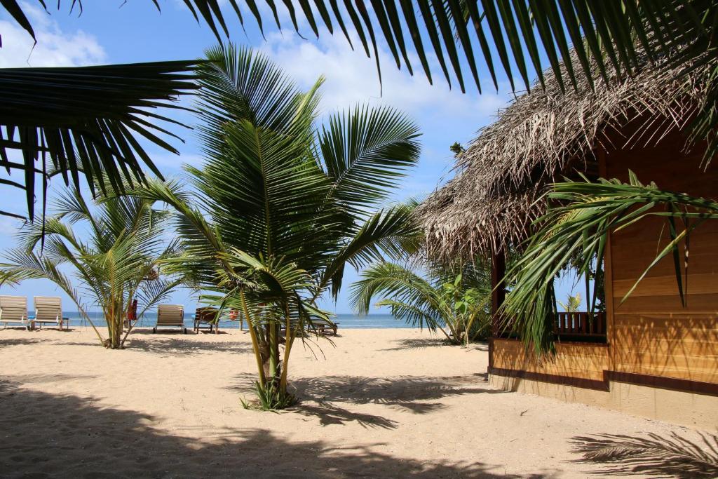 una playa con palmeras, un edificio y el océano en Shiva's Beach Cabanas, en Tangalle