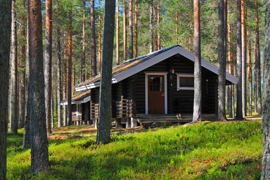una cabaña de madera en medio de un bosque en Laahtanen camping, en Ristijärvi
