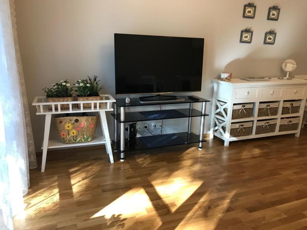 TV a/nebo společenská místnost v ubytování Apartments in Vabaduse 72