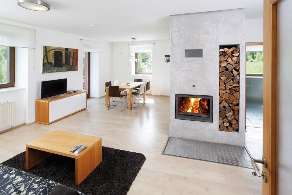TV a/nebo společenská místnost v ubytování Apartmán Stará škola