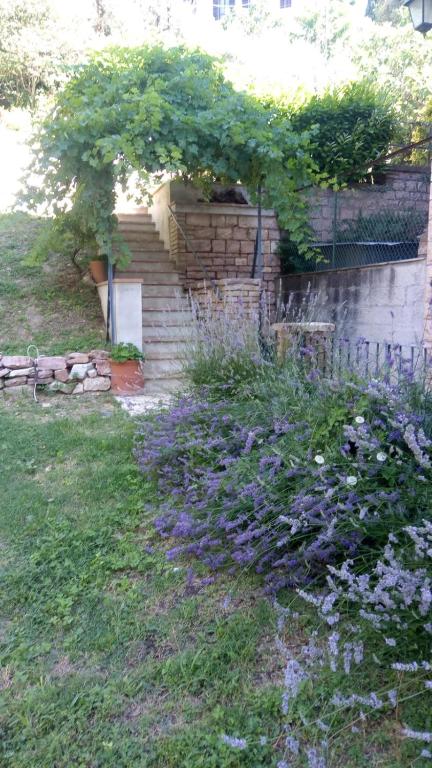 Vonkajšia záhrada v ubytovaní Eden House