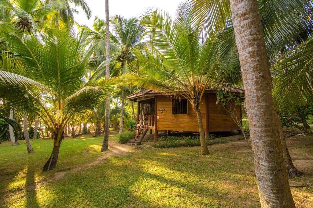 a wooden house in the middle of palm trees at Palm Paradise Cabanas & Villas Beach Resort in Tangalle