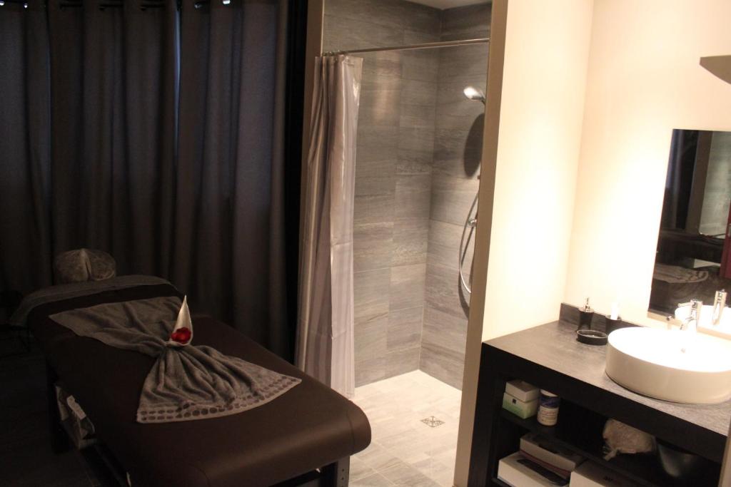 Fotografie z fotogalerie ubytování Hotel Palladia v destinaci Toulouse