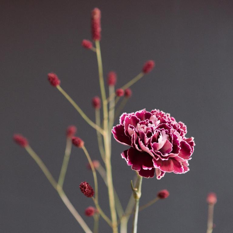 Central Hotel bel étage - Resim 24