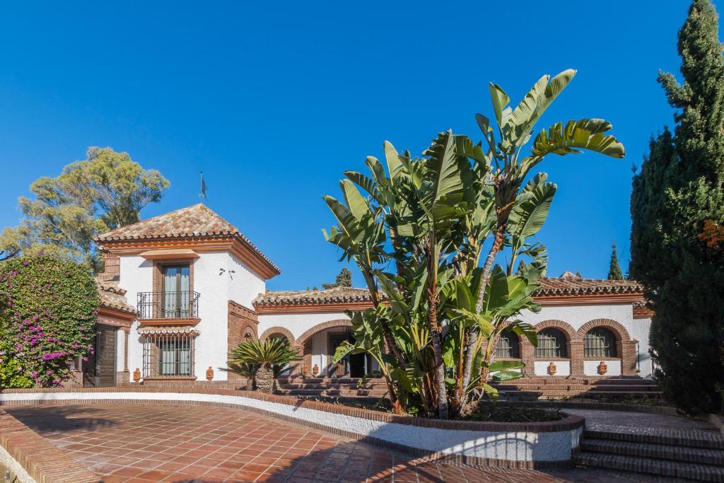 una casa con una palma di fronte di Authentic Andalucia a Marbella