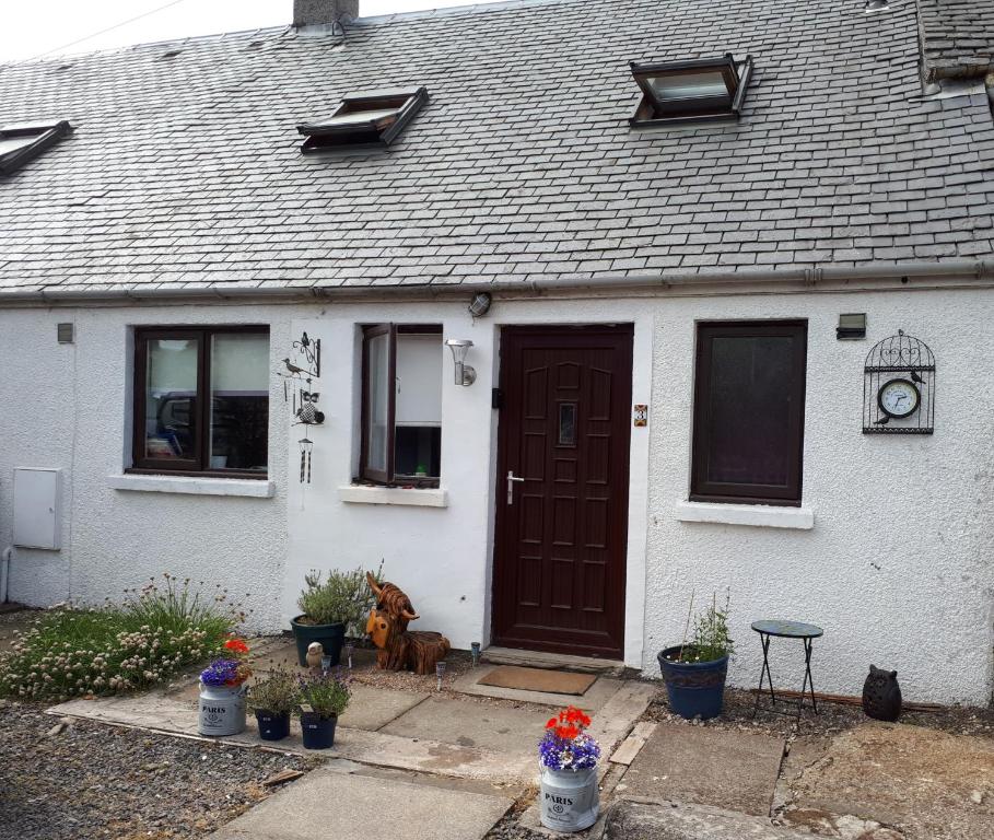 a dog sitting in front of a house at 3 Knocknaha Cottage in Campbeltown