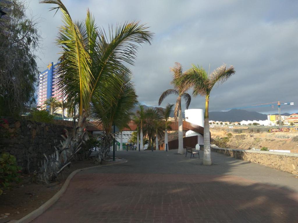 Studio Playa Paraiso Tenerife - ocean view and internet wifi optical fiber - for rent في بلايا بارايسو: رصيف به أشجار نخيل بجوار شاطئ