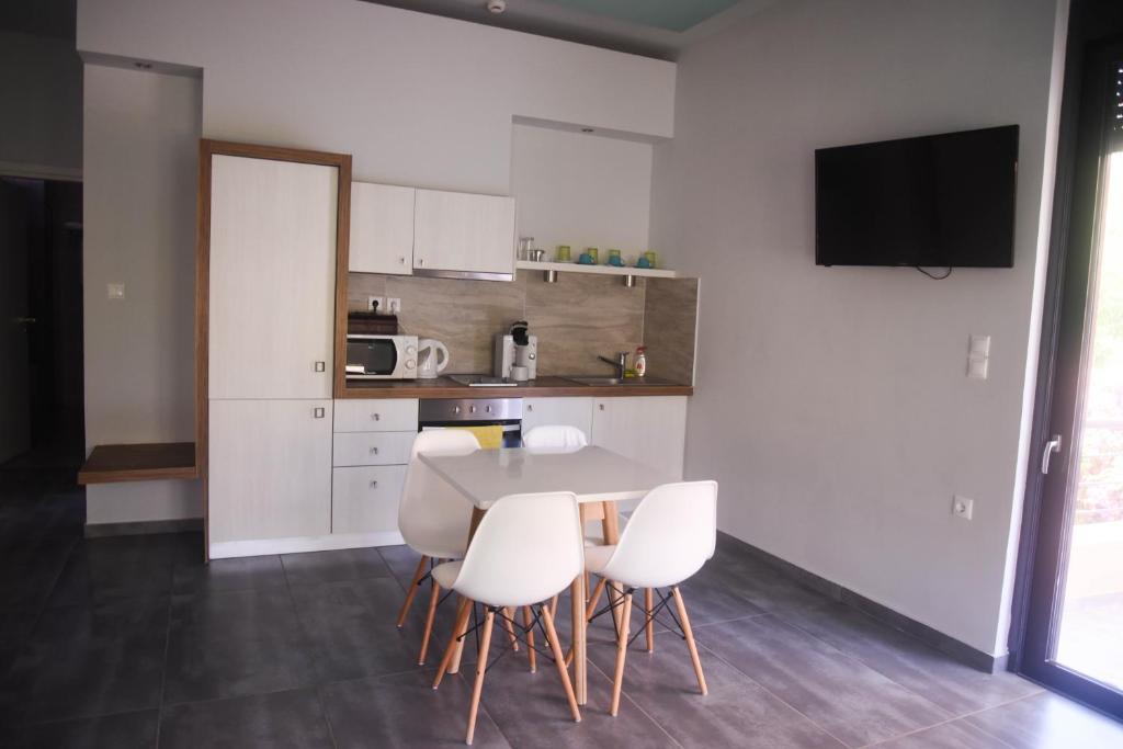 Kuchyň nebo kuchyňský kout v ubytování Alissachni Luxury Apartments