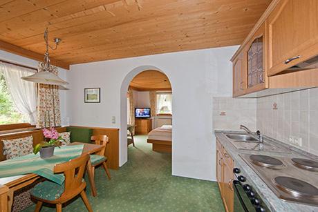 Alpenhof Klais - Apartment With Mountain View