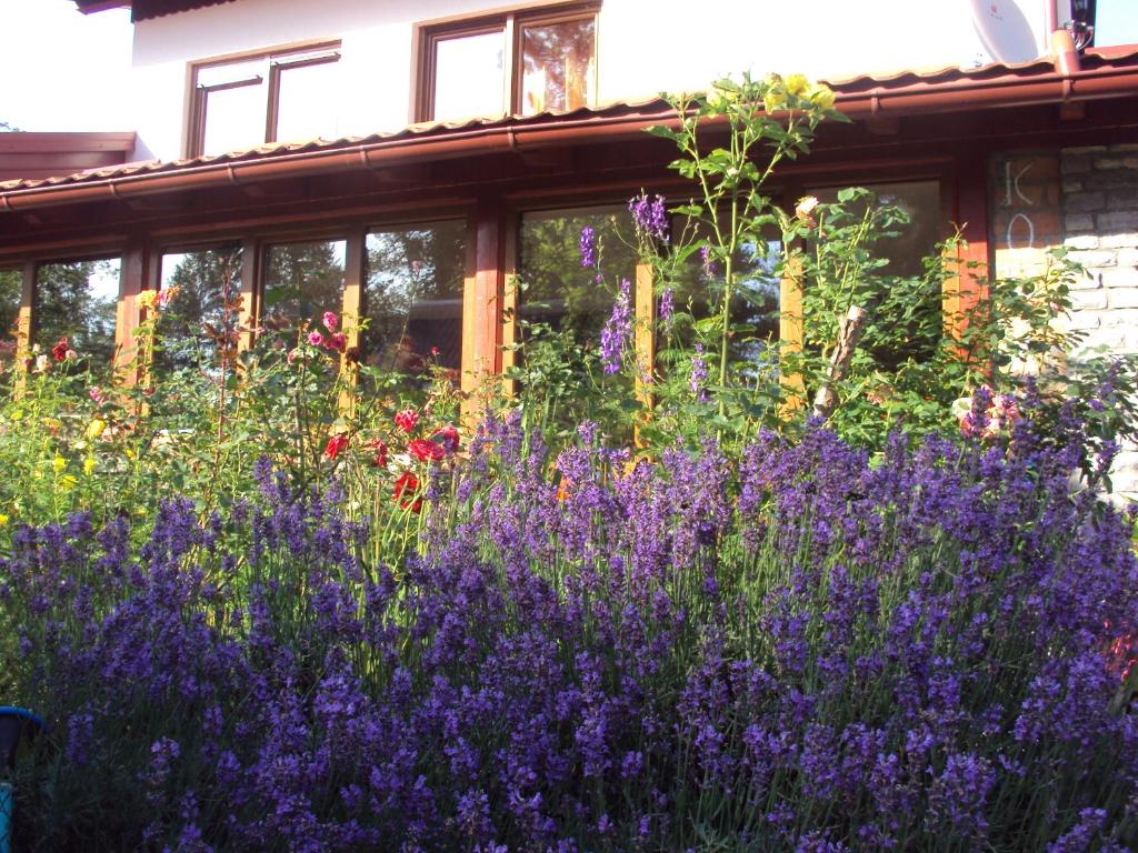 PLITVICE KONAK Daic - 14