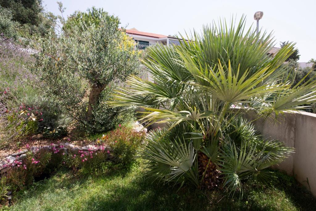 Zahrada ubytování Apartments Lanterna