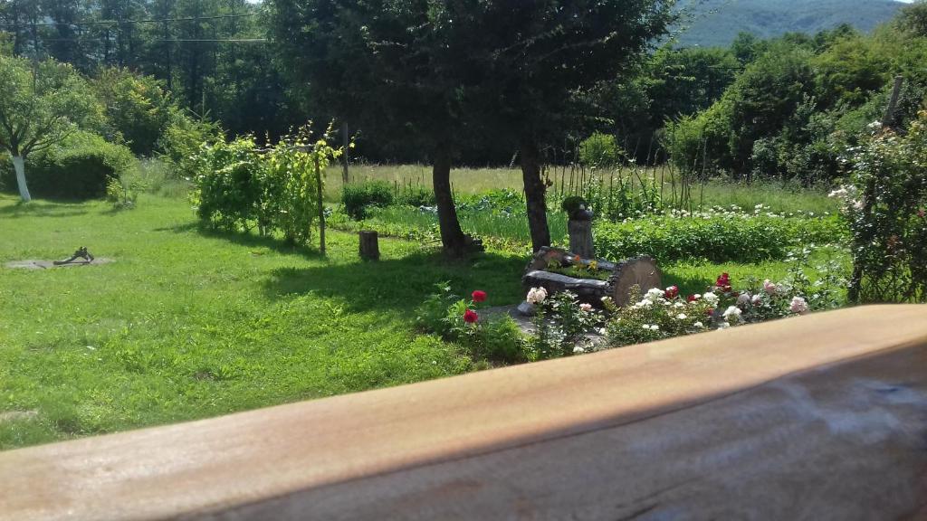 Galesic Apartments & Rooms - 8