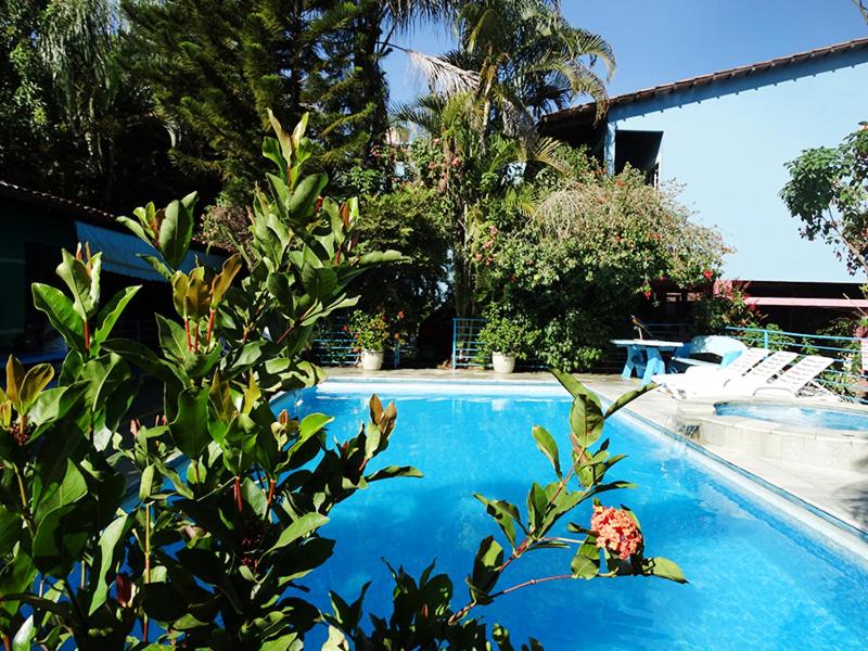 una piscina blu con una pianta in primo piano di Pousada Israel a Pirenópolis