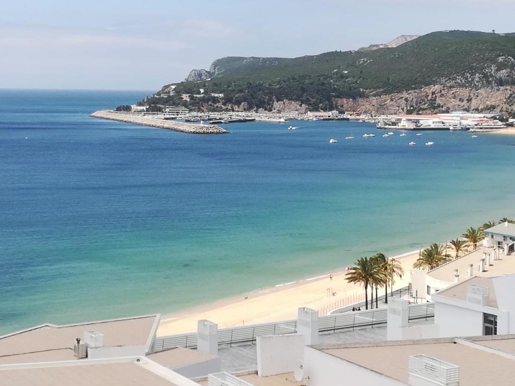 セジンブラにあるSesimbra Terrasseのヤシの木と海の景色を望む