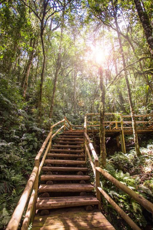 Lone Star Gramado  Lone Star Gramado