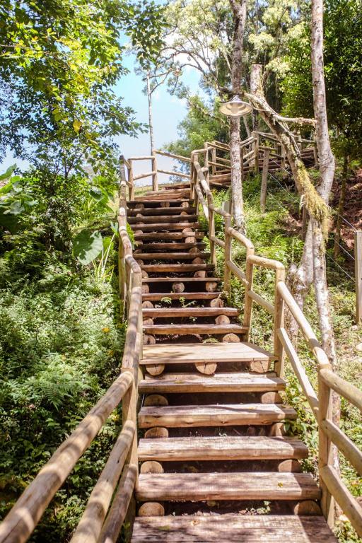 Lone Star Gramado  Lone Star Gramado