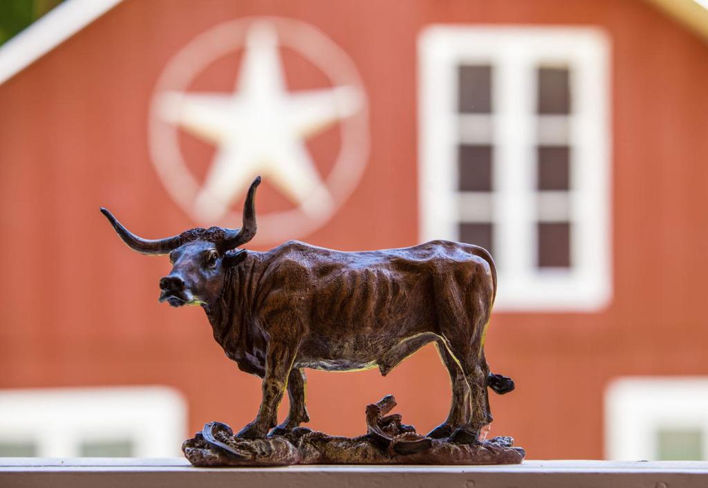 Lone Star Gramado  Lone Star Gramado