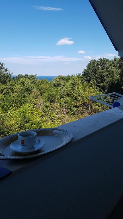 Příroda nedaleko apartmánu