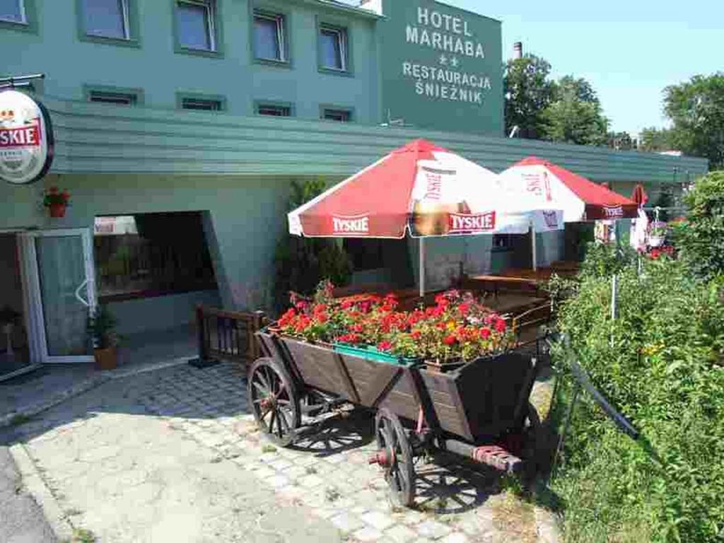 a cart full of flowers in front of a hotel at Hotel Śnieżnik in Kłodzko