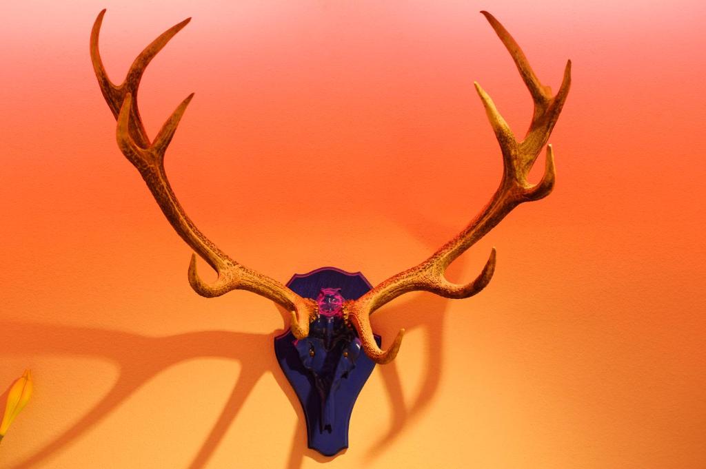 Hotel Blauer Bock - Resim 33