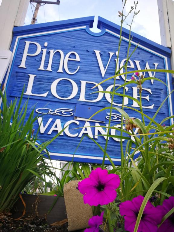 Pine View Lodge