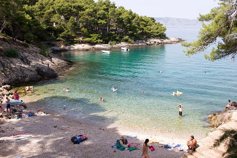Príroda v okolí apartmánu