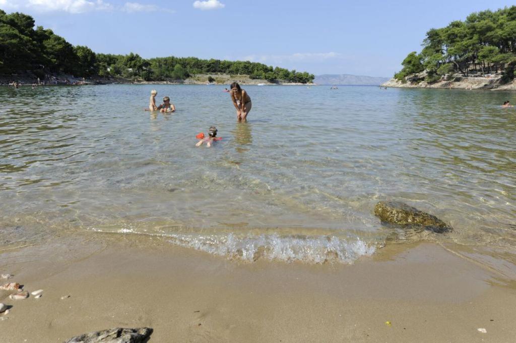 Príroda v okolí apartmánu