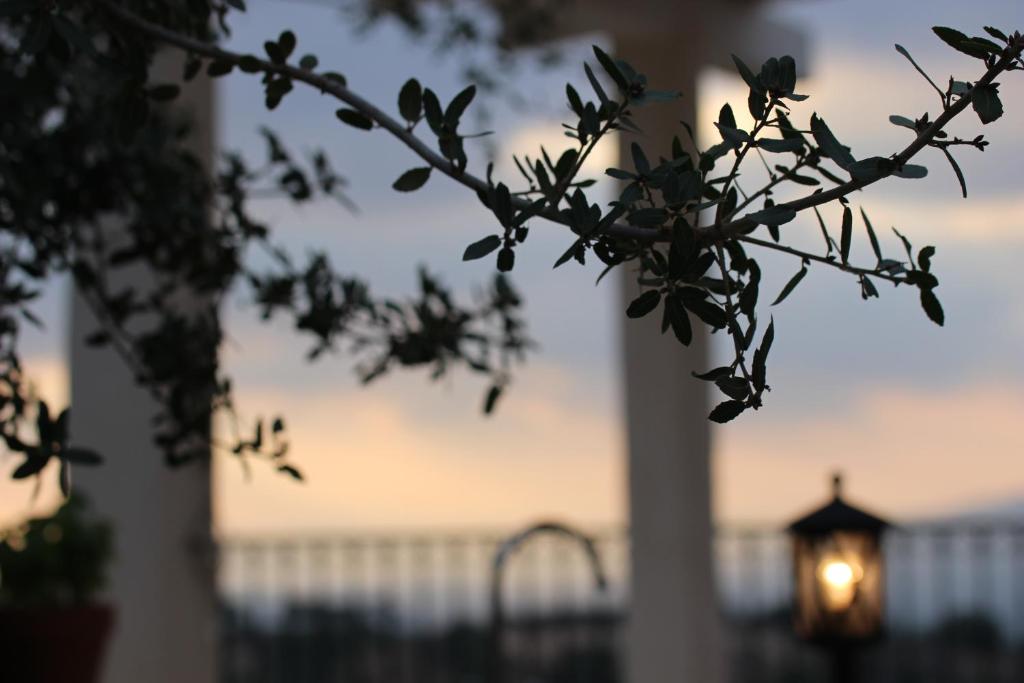 Fotografie z fotogalerie ubytování Benichuta v destinaci Mitzpe Hila
