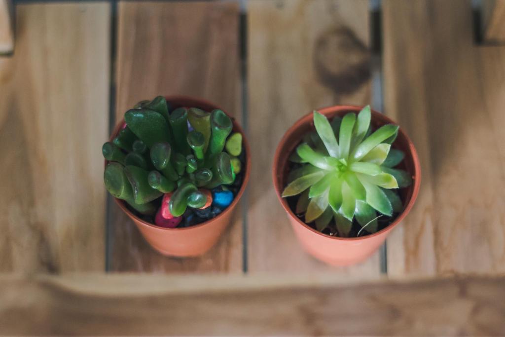 Km Hotel Chiang Mai - Resim 37