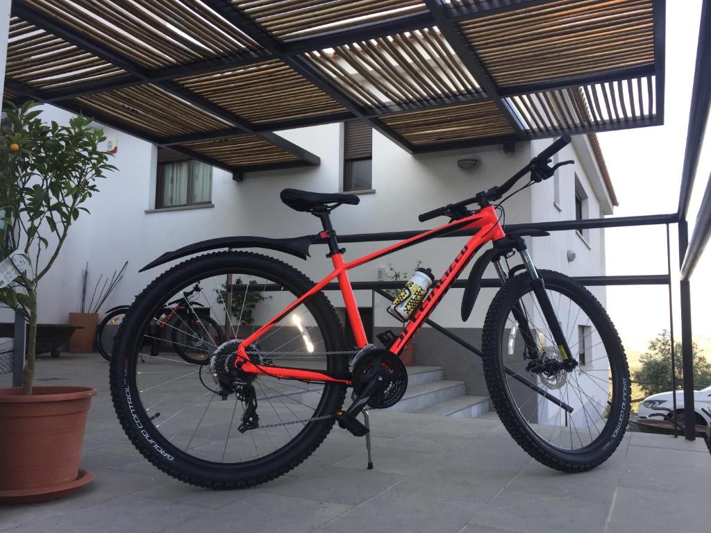 Montar en bicicleta en Los Castillarejos Apartamentos Rurales o alrededores