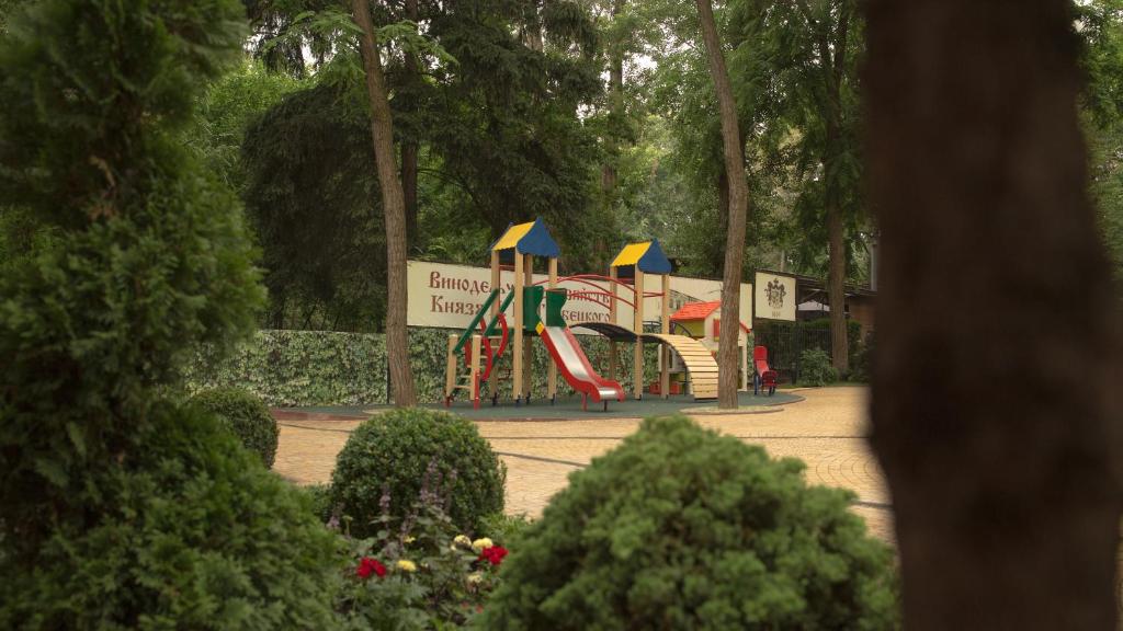 Herní místnost nebo prostor pro děti v ubytování Park-Hotel Golosievo