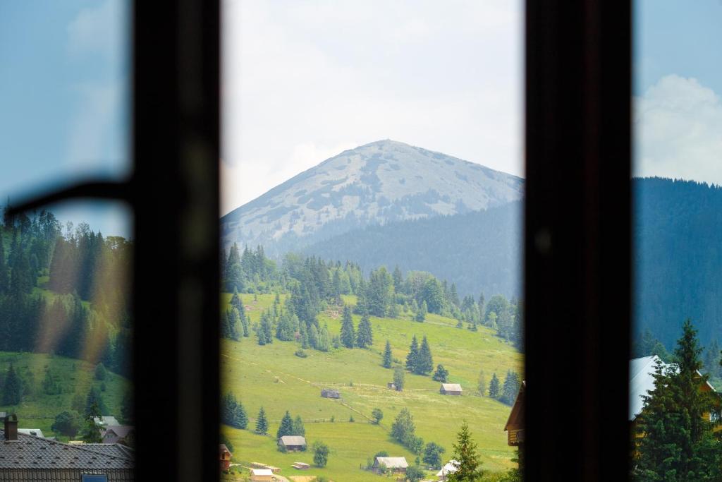 Příroda nedaleko hotelu