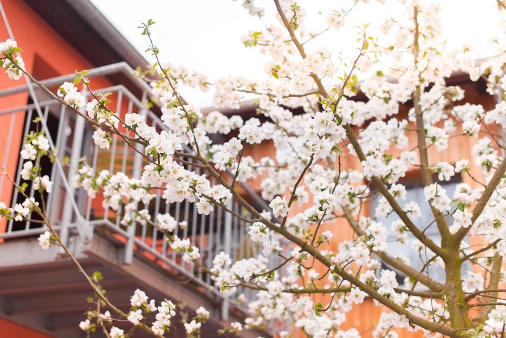 Biohotel Kunstquartier - Resim 22