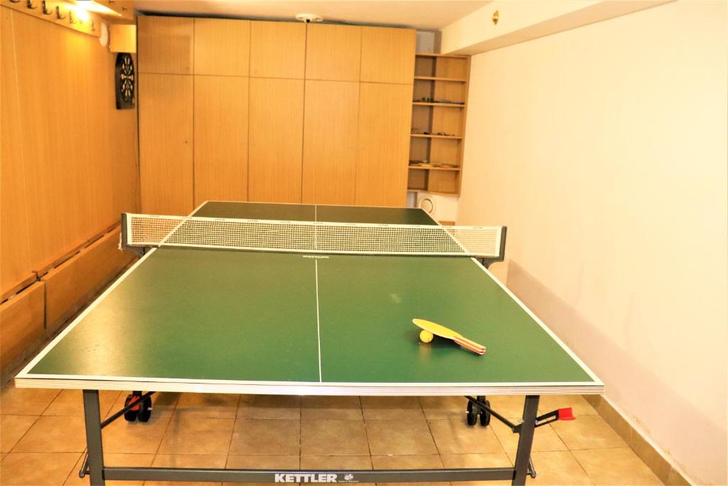 Stolní tenis v ubytování Pension Kohler nebo okolí