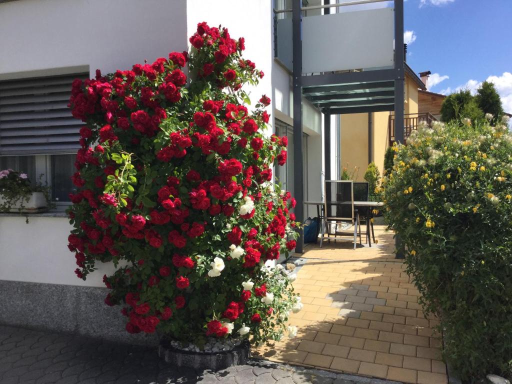 フタンにあるChasa Furtünaの建物脇の赤い花束