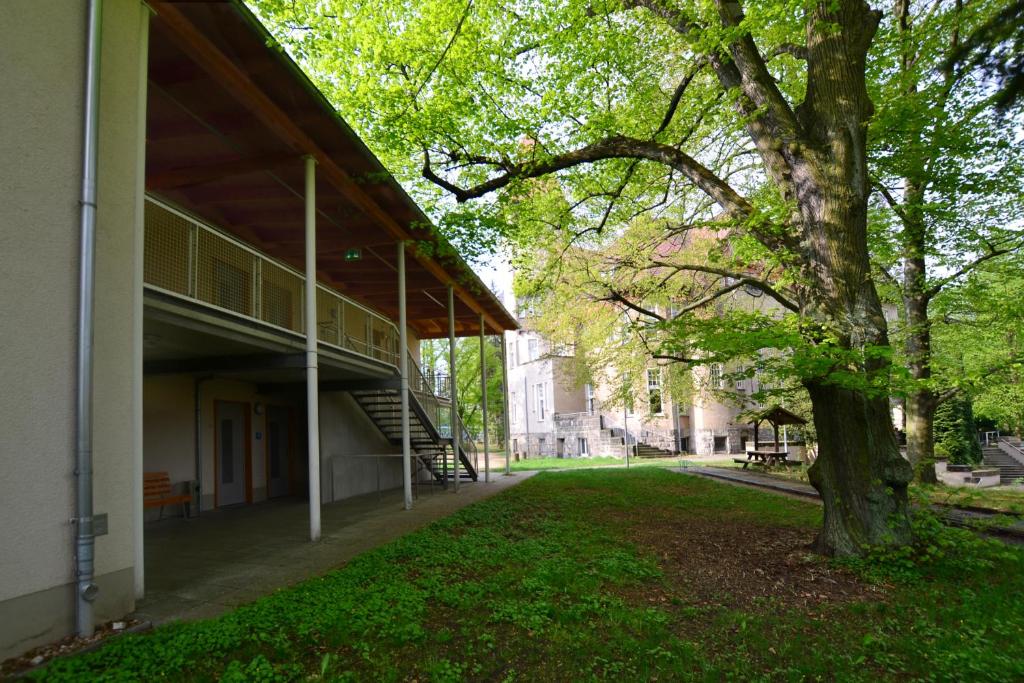 Zahrada ubytování Villa Ephraim