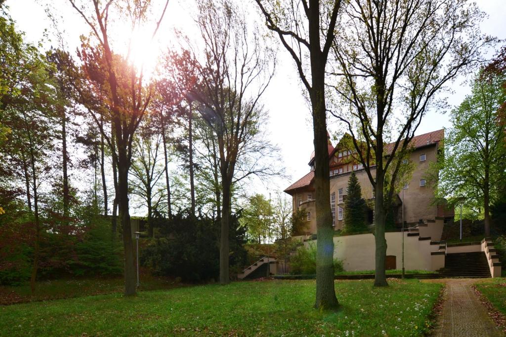 Zahrada ubytování Villa Ephraim