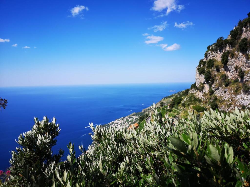 La Cascina Camere - 18