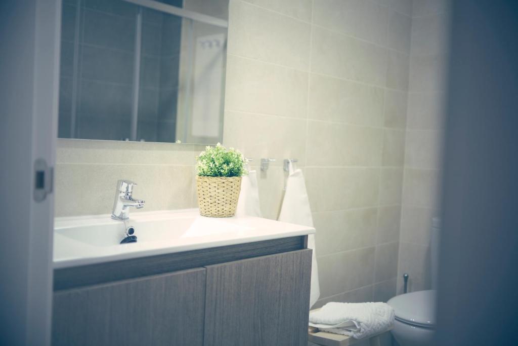 Pinsapo (Centro ciudad) - 6